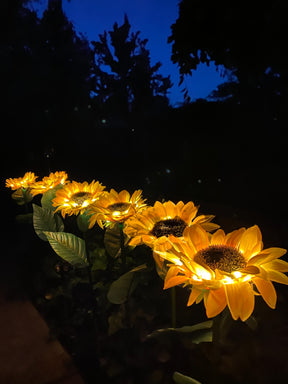 Solar Sunflower Outdoor Garden Lights: Pack of 6
